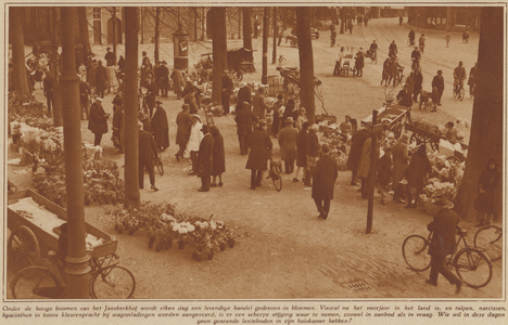 59115 Gezicht op het Janskerkhof te Utrecht tijdens de bloemenmarkt.